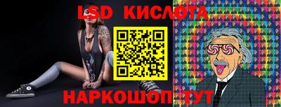 spice Кулебаки