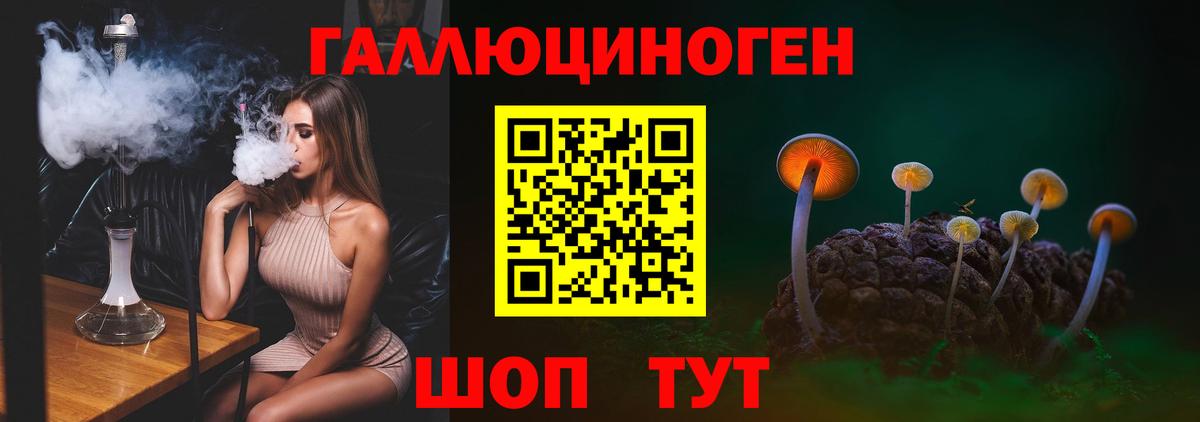Псилоцибиновые грибы Cubensis Егорьевск